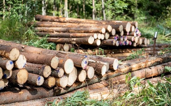 Erityisesti syksy ja loppuvuosi olivat tilastoissa viime vuonna poikkeuksellisen hiljaista aikaa.
