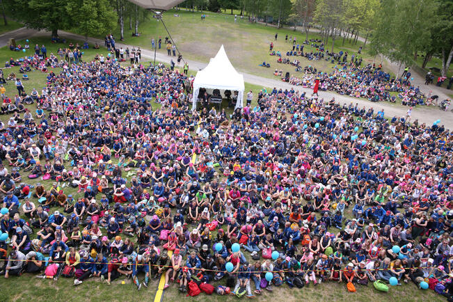 Partiolaiset kokoontuvat ensi kesänä Kokemäellä. Kuva on vuodelta 2018.