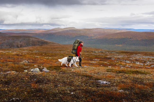 Ilona Mikkonen ja Kuu vaeltavat Urho Kekkosen kansallispuistossa.