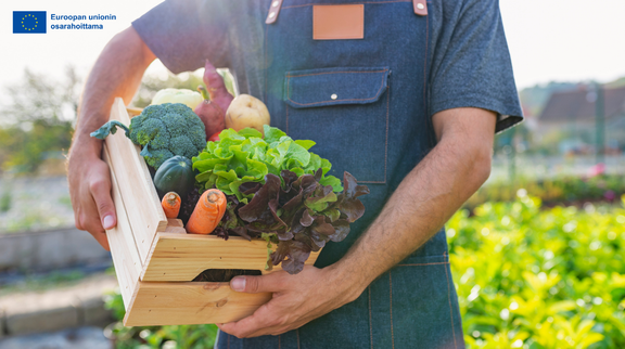Luomukorvauksen noston toivotaan parantavan luomutuotannon edellytyksiä ja lisäävän tuotantoa. 