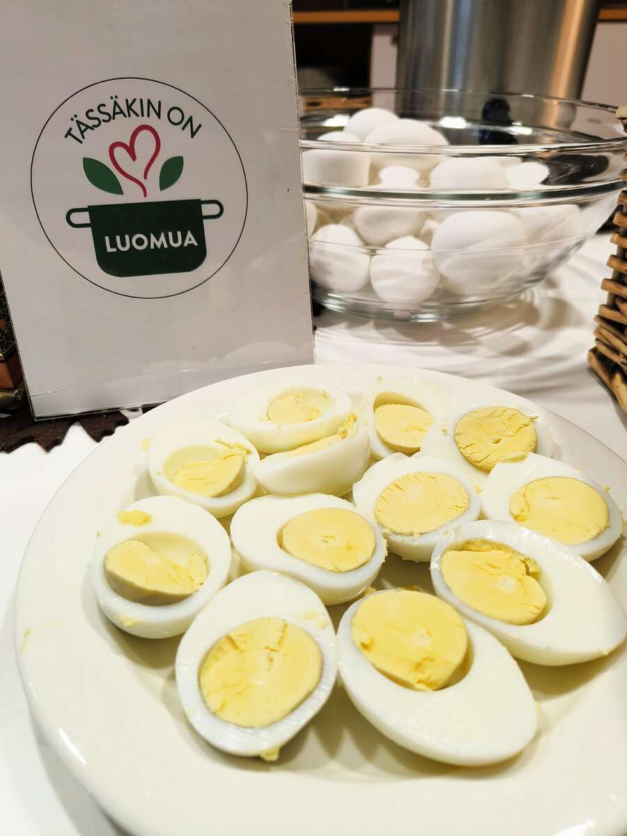 Aamiaisella tarjolla olevat kananmunat noudetaan paikalliselta luomutilalta.
