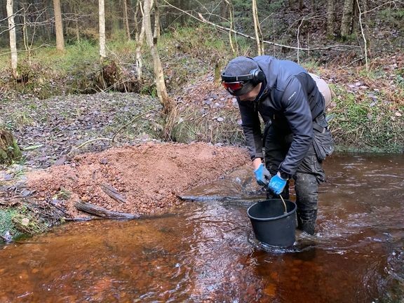 Purokunnostuksilla parannetaan taimenen lisääntymis- ja elinympäristöjä. 