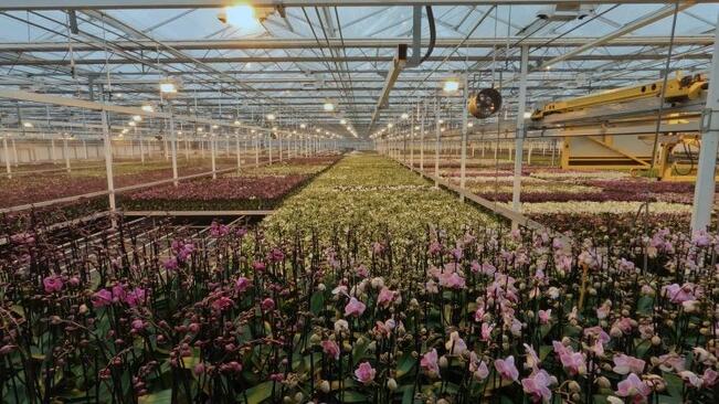 Stillkuva elokuvasta Thirst, 2022.