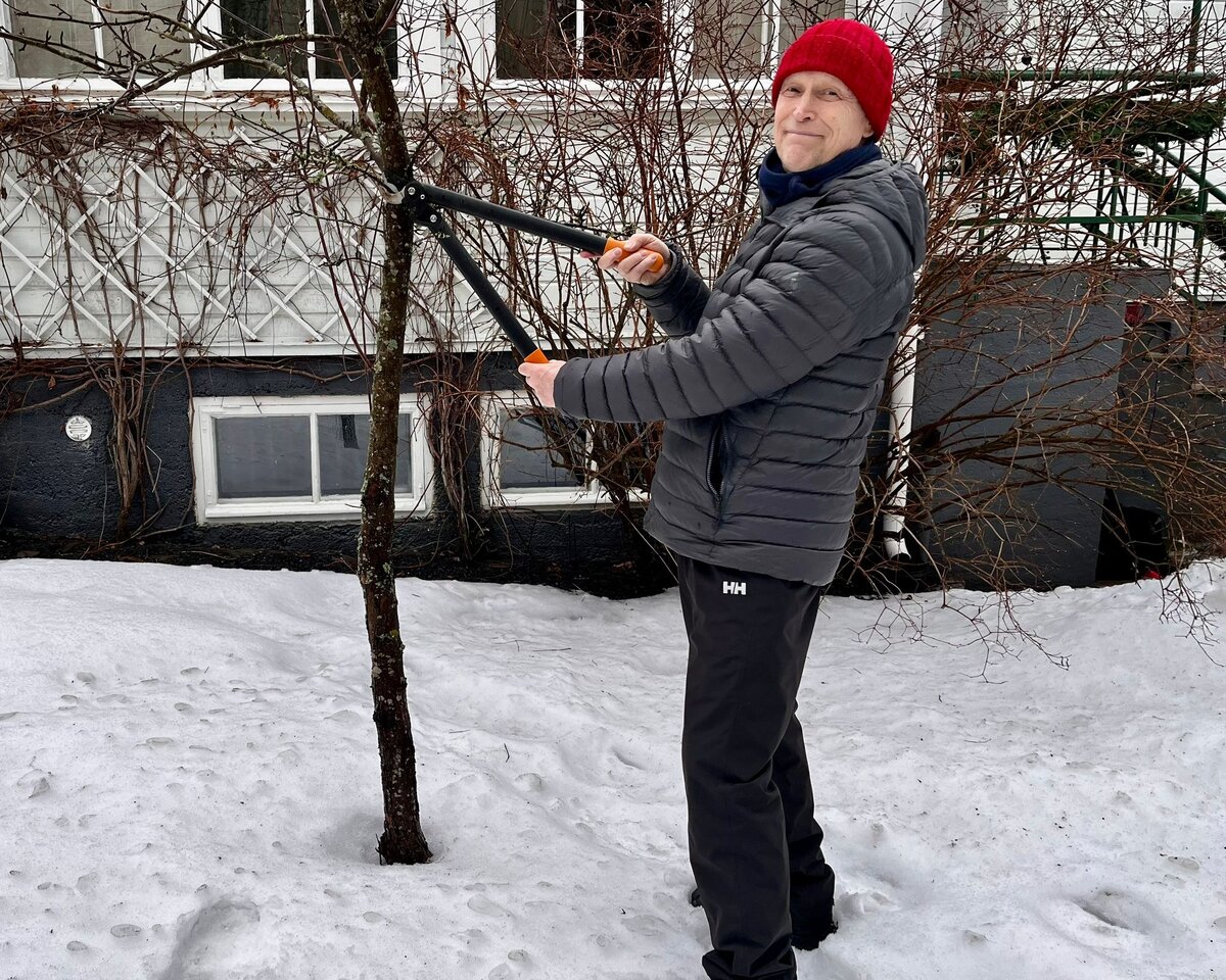 Työkalut on testattava ja huollettava ennen tositoimia. Pakan Poika –huomionosoituksella palkittu Lyytinen pitää keväisin Nummenpakkayhdistyksen jäsenille omenapuiden leikkausnäytöksen.
