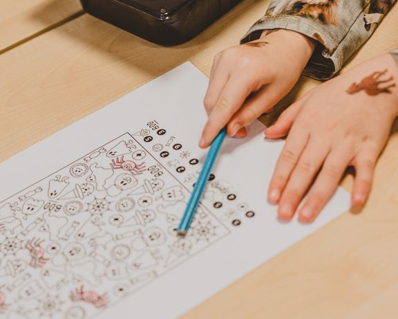 Suomen viranomaisilta puuttuu tarkka kokonaiskäsitys siitä, miksi kotiopetukseen siirrytään, miten opetus toteutetaan, miten kotiopetusta valvotaan tai miten kotiopetuksessa olevat lapset voivat. 
