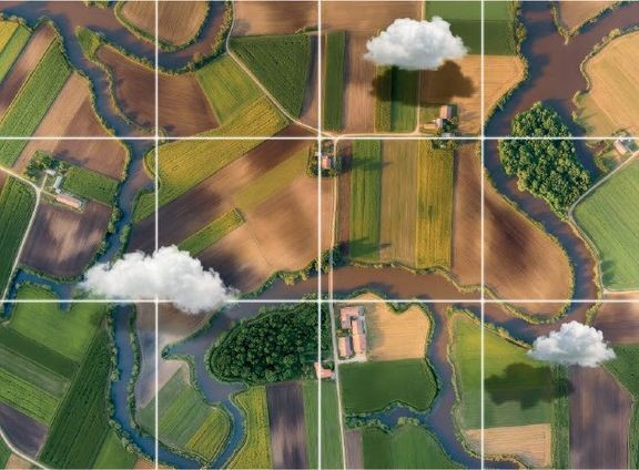 Biodiversiteetti lautasella -oppimispelin pelilauta.
