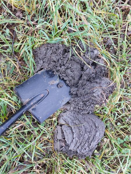 Maanpintaa on kaivettu lapion ja lusikkakairan kanssa, jotta nähdään myös se, miltä pelto näyttää pinnan alapuolelta.