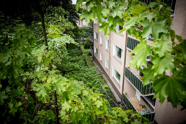 Ilmastonmuutoksen aiheuttamia haittoja ovat sään ääri-ilmiöt ja vaikeutuvat sääolosuhteet, kuten rankkasateet, kosteus ja tulvat, ja niistä aiheutuvat tuhot rakennuksille.