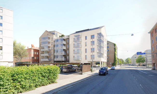 Havainnekuva hyvinvointikorttelista.