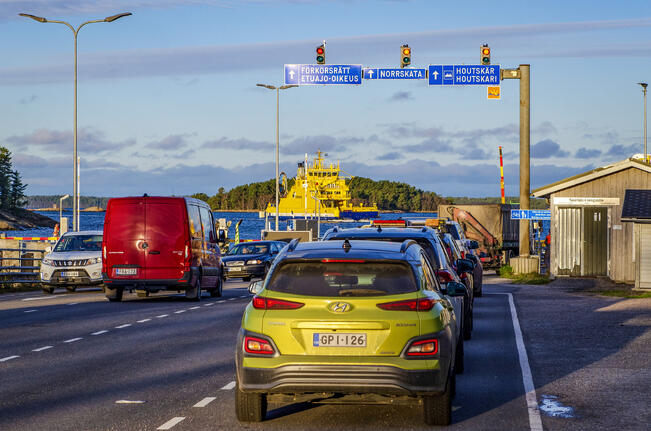 Saariston rengastie täyttää 30 vuotta.