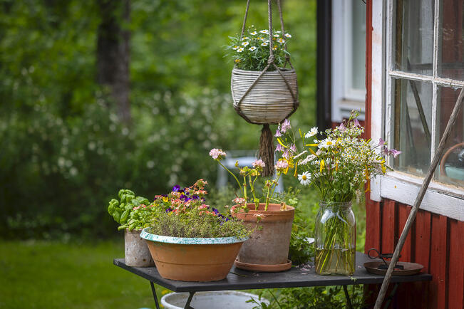 Lähes joka neljäs mökkeilijä on toteuttanut tai harkinnut rakentamista mökille kevyemmällä lupamenettelyllä.