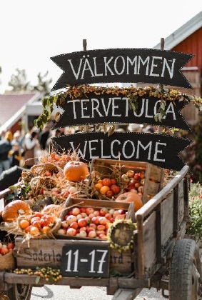 Omenapäivää vietetään Södelångvikin kartanolla jo 21. kertaa.