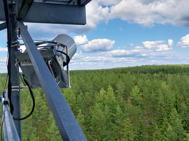 Tutkimus tehtiin laserkeilaamalla joukko puita kerran tunnissa useana peräkkäisenä päivänä Hyytiälän tutkimusmetsässä. 
